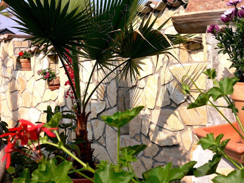 Apartmenthaus Casa Palma Бюль Екстер'єр фото
